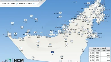 صورة مزيرعة في منطقة الظفرة تسجل أدنى درجة حرارة في الدولة