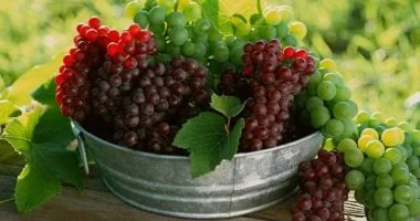 صورة فوائد صحية تجعل العنب الأنسب لك كفاكهة