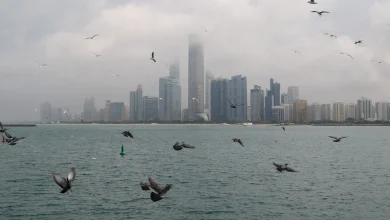 صورة طقس غائم مع احتمال هطول أمطار غداً