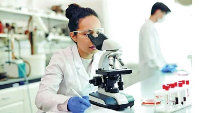 صورة الإمارات الصحية: باقة متكاملة من الخدمات الوقائية والعلاجية والتأهيلية لأفراد الأسرة