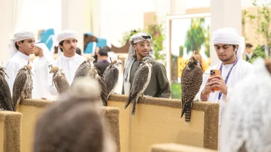 صورة انتشار واسع في الإصدار الأول من «العين للصيد والفروسية»