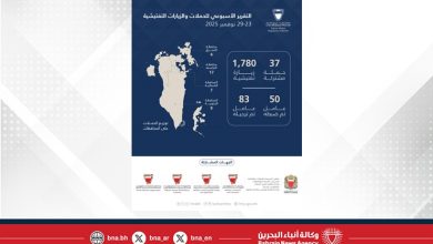 صورة 1,817حملة وزيارة تفتيشية وترحيل 83 مخالفًا خلال أسبوع
