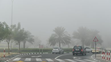 صورة “الوطني للأرصاد” يحذر من تشكل الضباب وتدني مدى الرؤية