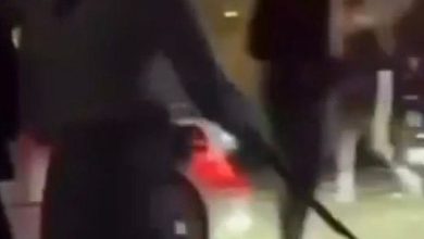 صورة شرطة الفجيرة تضبط «راعية التلوار» وتحيلها للنيابة العامة