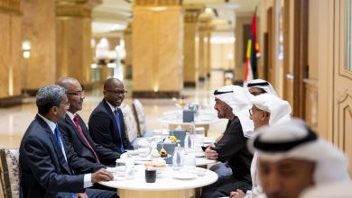 صورة رئيس الدولة يلتقي رئيس سيشل الذي يزور الإمارات لحضور الجولة الختامية لبطولة العالم للفورمولا 1
