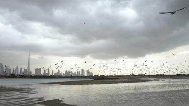 صورة أجواء رطبة وضبابية صباحاً حتى 12 ديسمبر