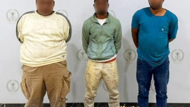 صورة شرطة الشارقة تحبط عمليتي تهريب لـ 17 كيلوجرامًا من “الكوكايين”