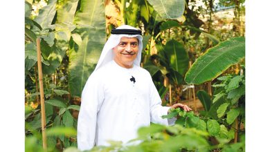 صورة مُزارع إماراتي يتحدى شحّ المياه وحرارة الصيف بزراعة نباتات نادرة