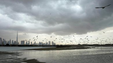 صورة أمطار.. وطقس غائم جزئياً