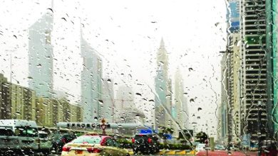 صورة طقس الإمارات غداً.. انخفاض ملحوظ في درجات الحرارة مع أمطار مختلفة الغزارة