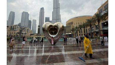 صورة «الموارد البشرية» تحث «الخاص» على « العمل عن بُعد»