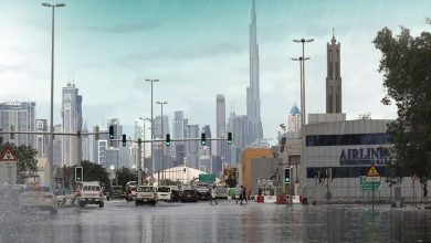صورة “التغير المناخي والبيئة” تحذر من احتمال تلوث مياه الأمطار المتجمعة والسباحة فيها