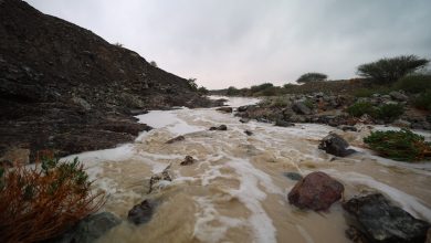 صورة أعلى نسب الأمطار في الدولة حتى صباح اليوم