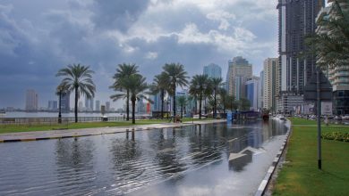 صورة مرور الموجة الرئيسة للأمطار واستمرار انخفاض «الحرارة» اليوم وغداً
