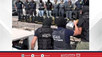 صورة إيطاليا تعتقل 384 شخصًا وتصادر 1.4 طن من المخدرات في حملة أمنية