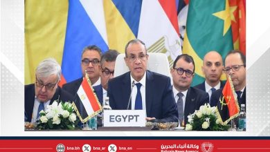 صورة مصر تؤكد دعمها للأمن والتنمية في أفريقيا خلال منتدى الشراكة الروسية