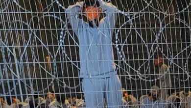 صورة صحافي فلسطيني يقدم شهادة مروعة حول تعرضه للاغتصاب في سجون الاحتلال الاسرائيلي ..