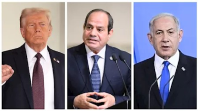 صورة تحركات لعقد قمة ثلاثية تجمع “ترامب والسيسي ونتنياهو” نهاية الشهر الجاري