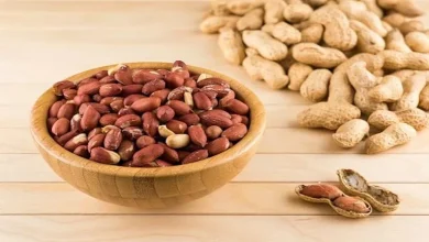 صورة دراسة تكشف تأثير الفول السوداني على صحة الدماغ