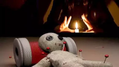 صورة هل السحر موجود ويضر الناس ضررا ملموسا؟ المفتي الأسبق يرد