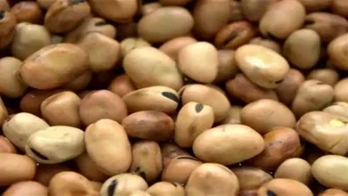 صورة انخفاض أسعار الفول والعدس والزيت والدواجن اليوم 7-11-2025 بالأسواق
