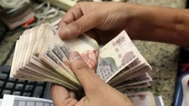 صورة بعد رفع الحد التأميني..ما هي قيمة الزيادة في المعاشات ومتى التطبيق؟