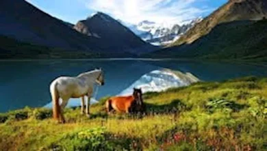 صورة 5 وجهات ساحرة لا يعرفها معظم المسافرين.. كن أول من يكتشفها