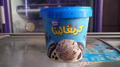 صورة “كرنفاليتا” و”سكويز آب”.. زيادة حتى 10 جنيهات في أسعار آيس كريم “دولسي