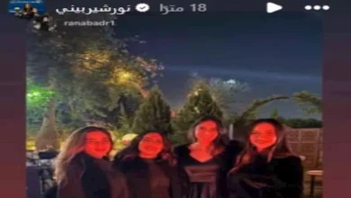 صورة 5 صور لنور الشربيني مع صديقاتها في إحدى المناسبات