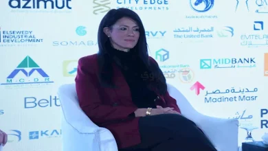 صورة المشاط: التمويلات التنموية الميسرة متاحة بشكل كبير للقطاع الخاص