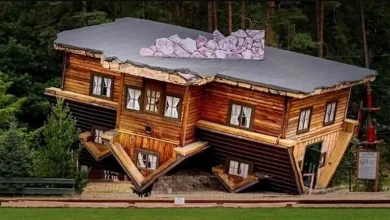 صورة أغرب المباني التاريخية حول العالم.. تصاميم فريدة لم تشاهدها من قبل