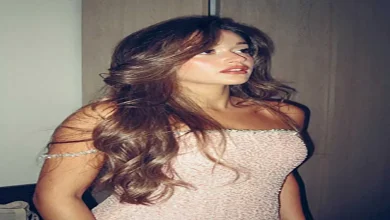 صورة نور إيهاب تخطف الأنظار بفستان أنيق في أحدث ظهور على السوشيال ميديا