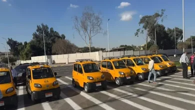 صورة تعرف على المحافظات المتاح ترخيص “بجاج كيوت” الجديدة بها
