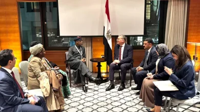 صورة وزيرا مصر ونيجيريا يبحثان تعزيز الشراكة التعدينية في لندن