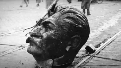 صورة 25 صورة نادرة تكشف أغرب لحظات التاريخ وتكشف غرابة الماضي