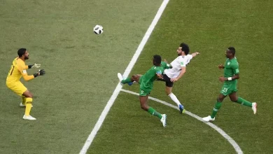 صورة لحظة لا تنسى والهداف.. تاريخ منتخب مصر في كأس العالم
