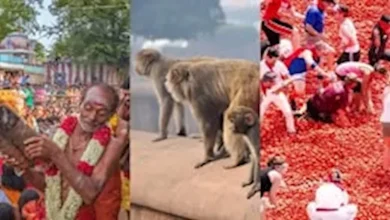 صورة لن تتوقعها.. أغرب 5 مهرجانات في العالم بينها رمي الأطفال ورشق الطماطم