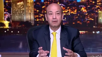 صورة بعد انتقاده فيلم “الست”.. أديب لمحمد صبحي: برده الناس مش هتنسى السواق