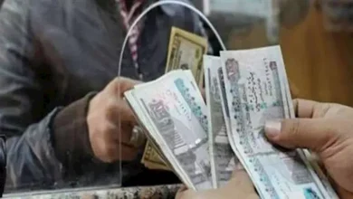 صورة استعلم بالرقم القومي.. موعد صرف “تكافل وكرامة” عن شهر ديسمبر