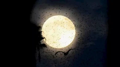 صورة 14 صورة مذهلة لآخر “قمر بارد” في عام 2025