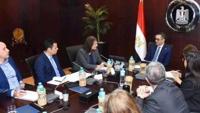 صورة المراجعتين الخامسة والسادسة.. وزير الاستثمار يلتقي بعثة صندوق النقد