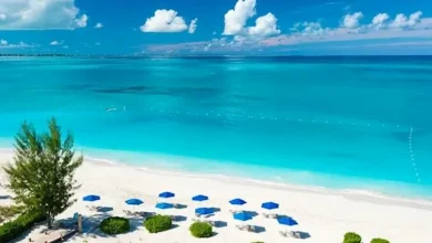 صورة 20 صورة لـ شاطئ أخضر زمردي يشع كالجواهر.. يبدو كأنه من كوكب آخر (صور)