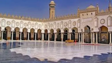 صورة ملتقى التفسير بالجامع الأزهر: يستعرض دلائل حديث الإعجاز القرآن عن الخي