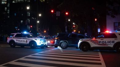 صورة | حملة اعتقالات في مينيابوليس تستهدف الصوماليين بعد تصريحات ترمب المثيرة للجدل
