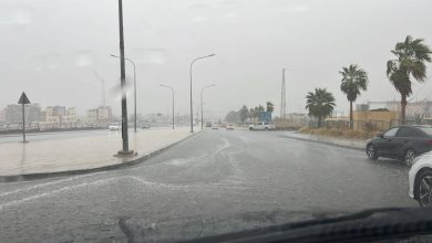 صورة | محافظ العقبة: إنقاذ 18 فردا من عائلات سورية تقطعت بهم السبل في القويرة
