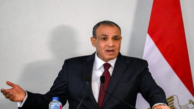 صورة | وزير الخارجية المصري يوضح: القوة الدولية في غزة لحفظ السلام وليس فرضه