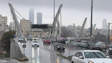 صورة | “نبض البلد” يفتح ملف الحالة الجوية: الشاكر يتوقع وصول منخفض جوي إلى الأردن والأمانة تنفي غرق عمان وجدل حول سيول البترا