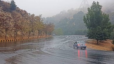 صورة | أجواء باردة وضبابية السبت.. وعودة الأمطار لتشمل أغلب مناطق الأردن مساء الاثنين
