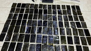 صورة | الجيش العربي: المنطقة العسكرية الجنوبية تحبط محاولة تهريب مواد مخدرة بواسطة طائرة مسيرة