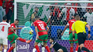 صورة | “فيديو الزاوية الميتة” يشعل منصات الأردن.. “يد حمد الله” تسرق كأس العرب من “النشامى”
